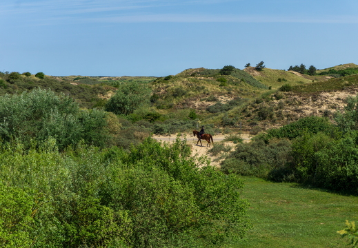 Zomer Keur (rondje circuit) 538