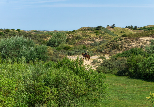 Zomer Keur (rondje circuit) 541