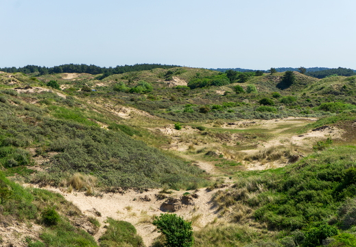 Zomer Keur (rondje circuit) 169