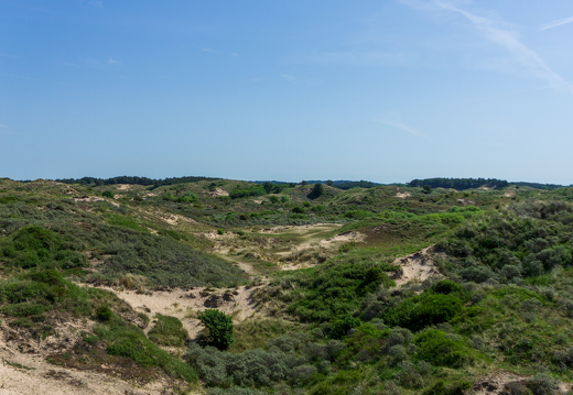 Zomer Keur (rondje circuit) 176