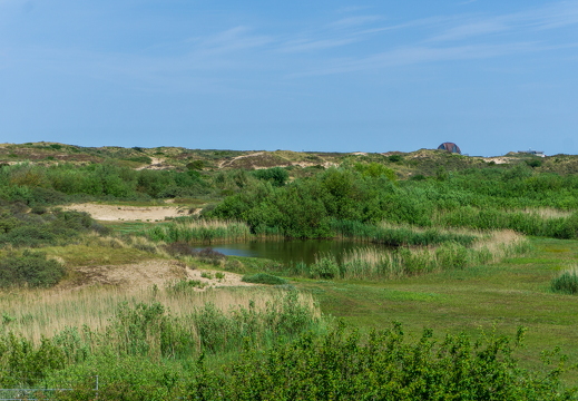 Zomer Keur (rondje circuit) 476