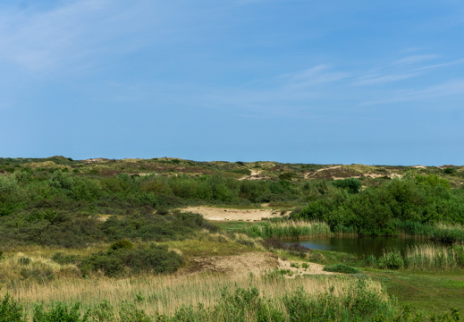 Zomer Keur (rondje circuit) 478
