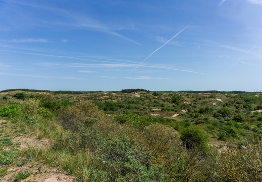 Zomer Keur (rondje circuit) 907