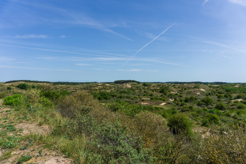 Zomer Keur (rondje circuit) 907.jpg
