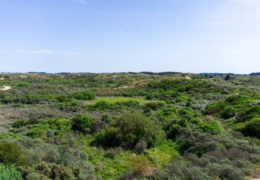 Zomer Keur (rondje circuit) 984