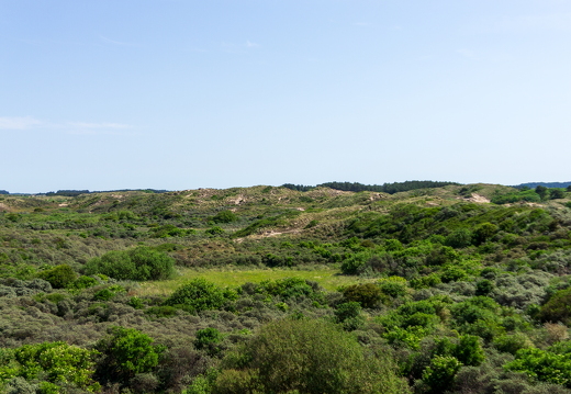 Zomer Keur (rondje circuit) 986