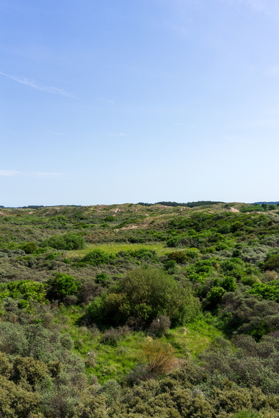 Zomer Keur (rondje circuit) 986.jpg