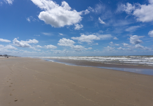 ZK strand 344