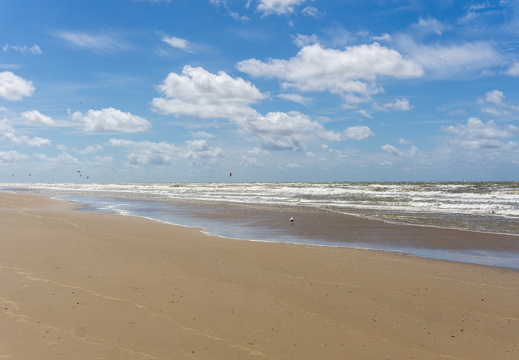 ZK strand 349