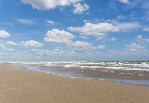 ZK strand 352