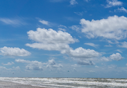 ZK strand 356