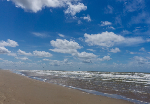 ZK strand 359
