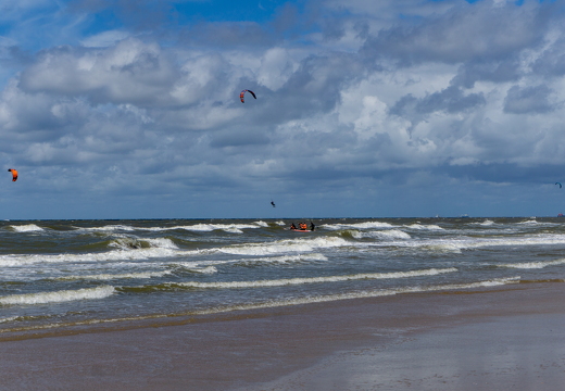 ZK strand 422