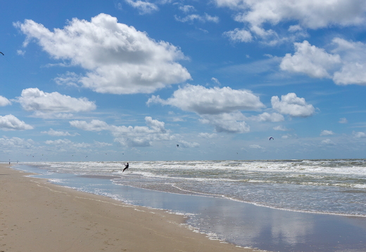 ZK strand 446