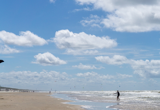 ZK strand 449