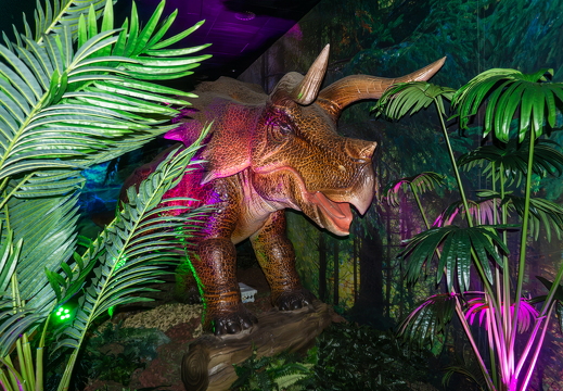 World of Dinos zk 52
