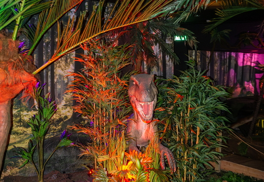 World of Dinos zk 59