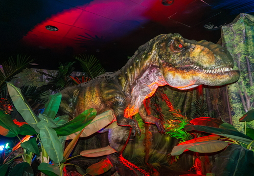 World of Dinos zk 64