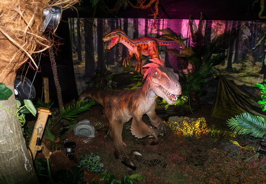 World of Dinos zk 68
