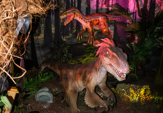 World of Dinos zk 69