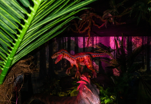 World of Dinos zk 70