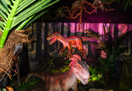 World of Dinos zk 71