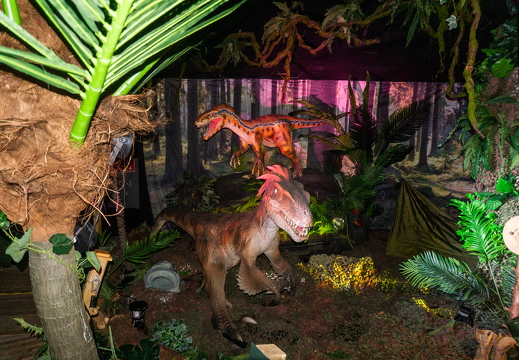 World of Dinos zk 72