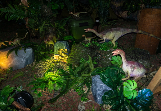 World of Dinos zk 77