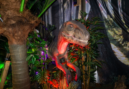 World of Dinos zk 78