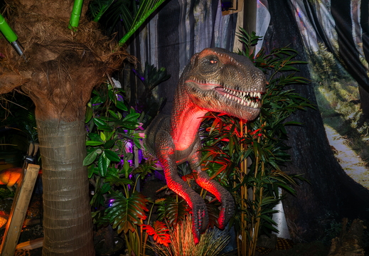 World of Dinos zk 79