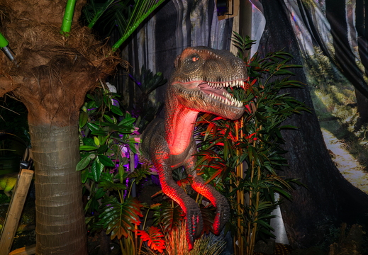 World of Dinos zk 82