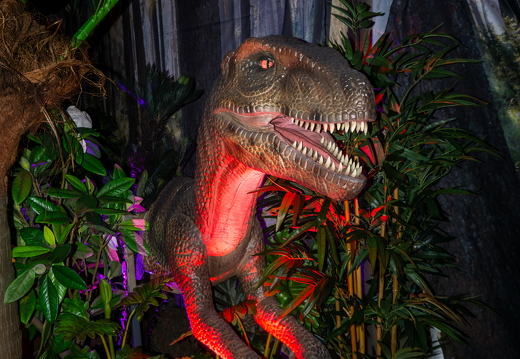 World of Dinos zk 83