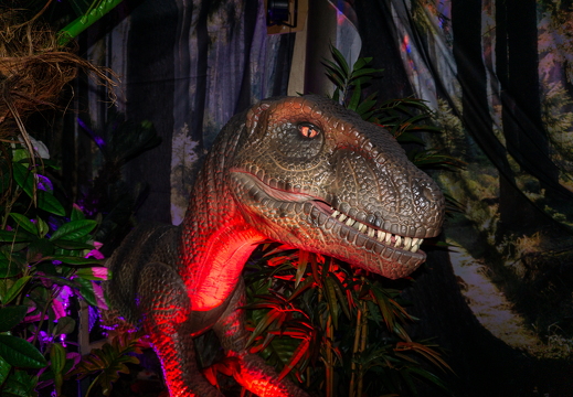 World of Dinos zk 94