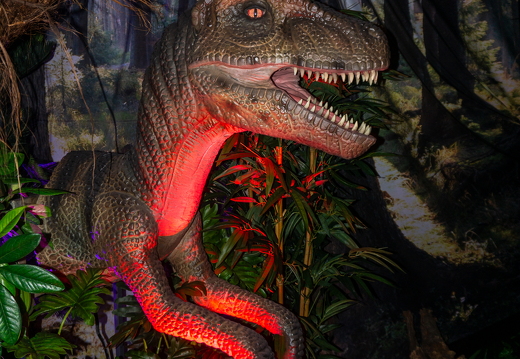 World of Dinos zk 96