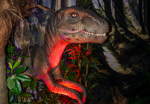 World of Dinos zk 97