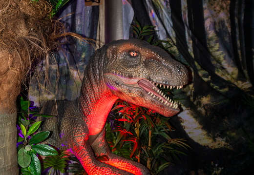 World of Dinos zk 98