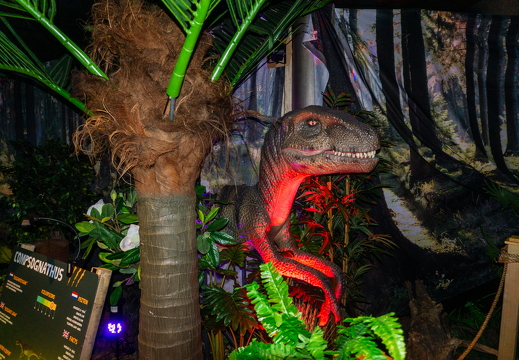 World of Dinos zk 200