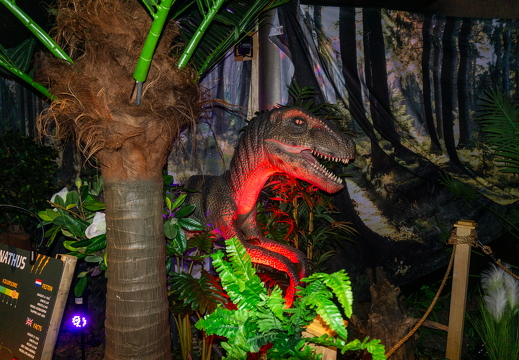 World of Dinos zk 202