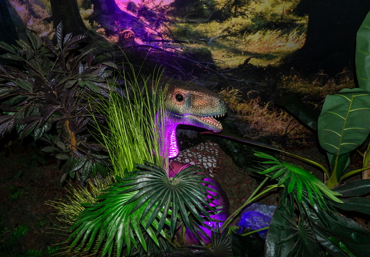 World of Dinos zk 213