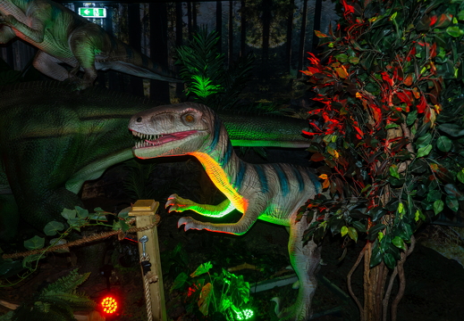 World of Dinos zk 215