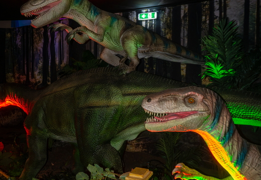 World of Dinos zk 217