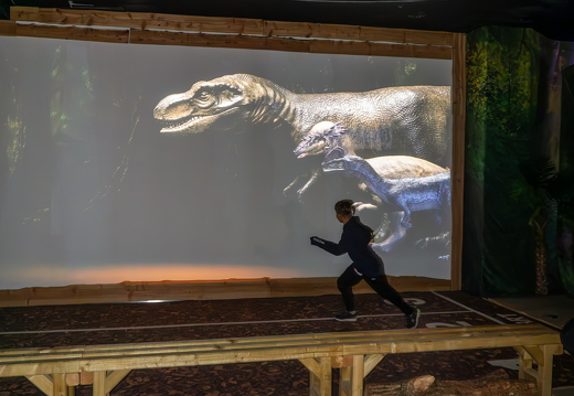 World of Dinos zk 223