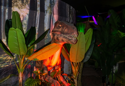 World of Dinos zk 225