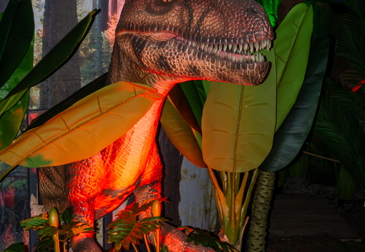 World of Dinos zk 227