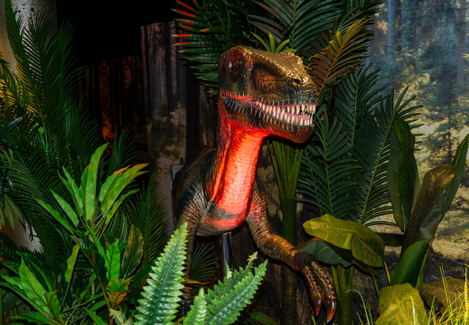 World of Dinos zk 234