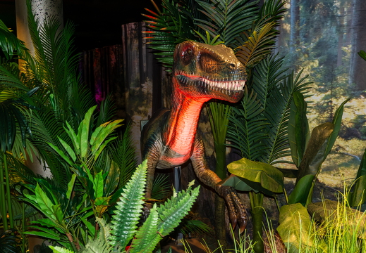World of Dinos zk 236
