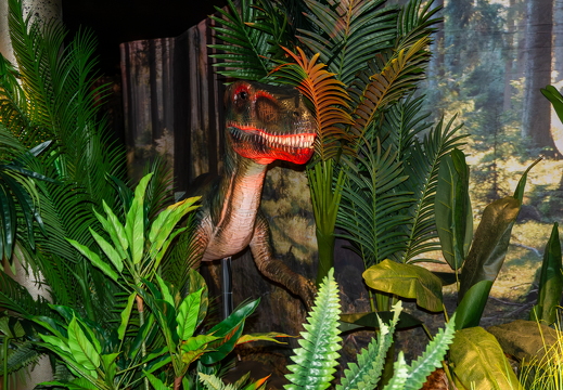 World of Dinos zk 237