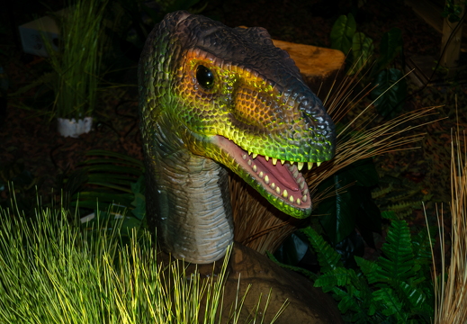 World of Dinos zk 238