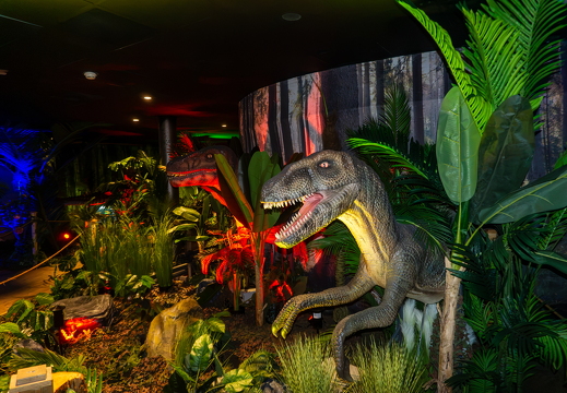 World of Dinos zk 241