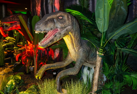 World of Dinos zk 242